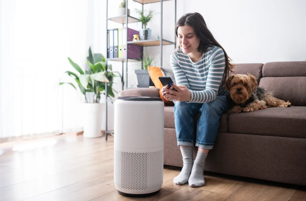 IAQ in Grand Mound, WA 1 A person sits on a sofa looking at their phone next to an air purifier